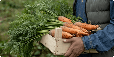 Buyer with fresh vegetables